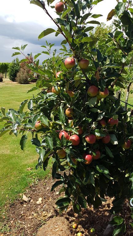 Marlborough Vintners Accommodation Μπλένχαϊμ Εξωτερικό φωτογραφία