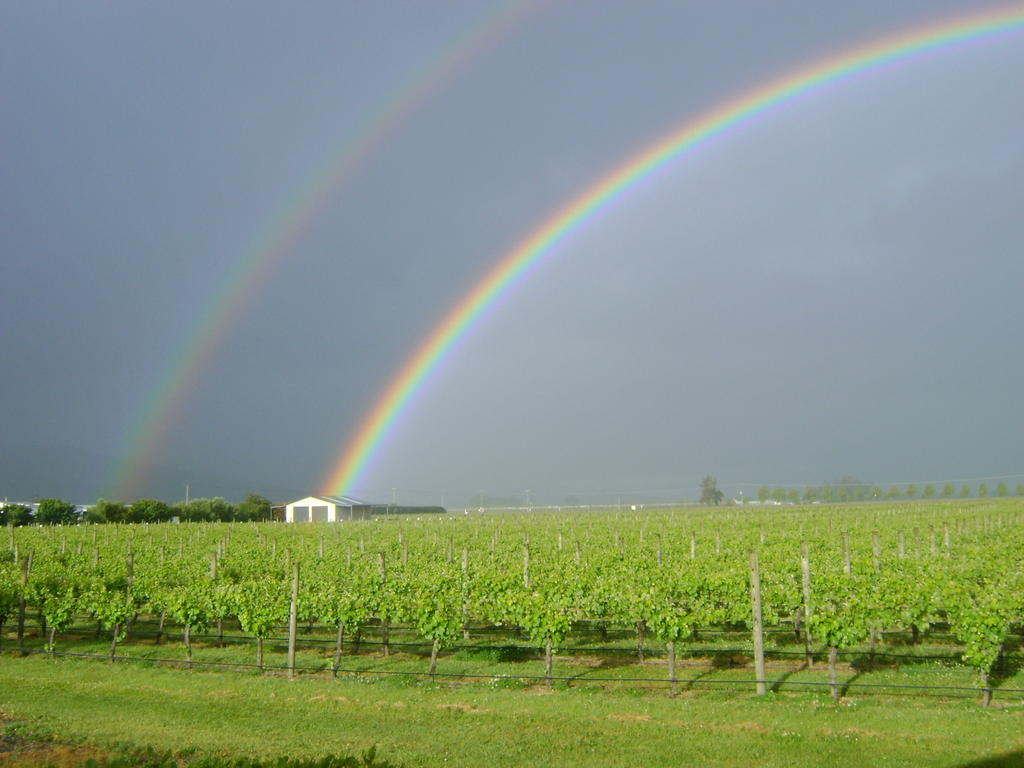 Marlborough Vintners Accommodation Μπλένχαϊμ Εξωτερικό φωτογραφία